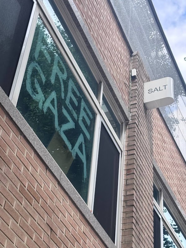 SALT 1