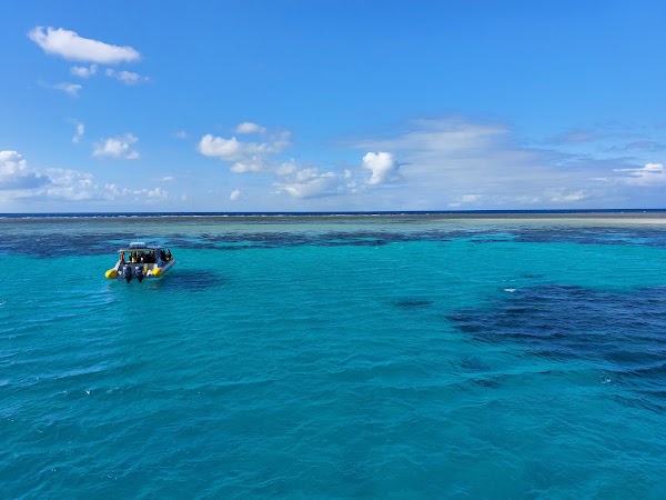 Mackay Reef