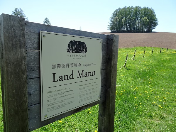 Land Mann (ランドマン) 2