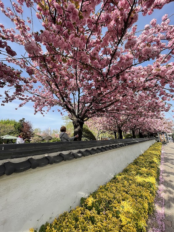 Baltalimanı Japanese Garden 5