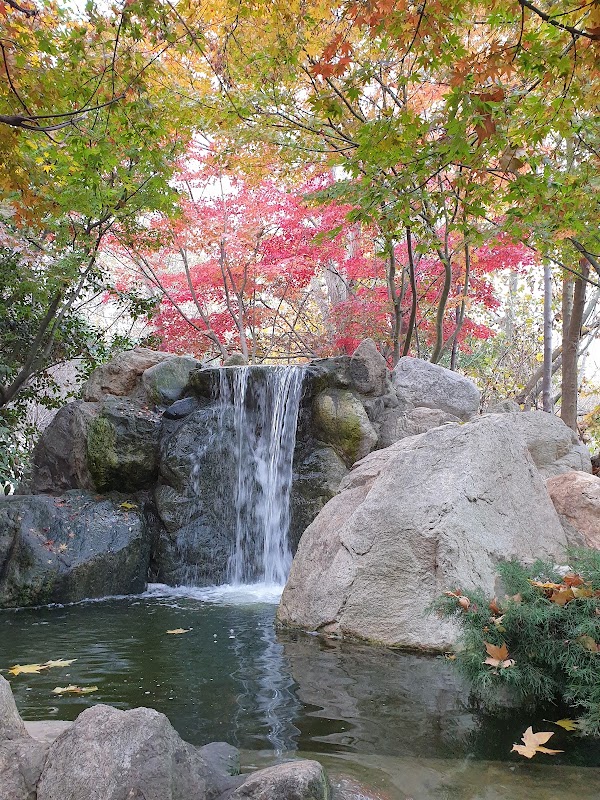 Baltalimanı Japanese Garden 2