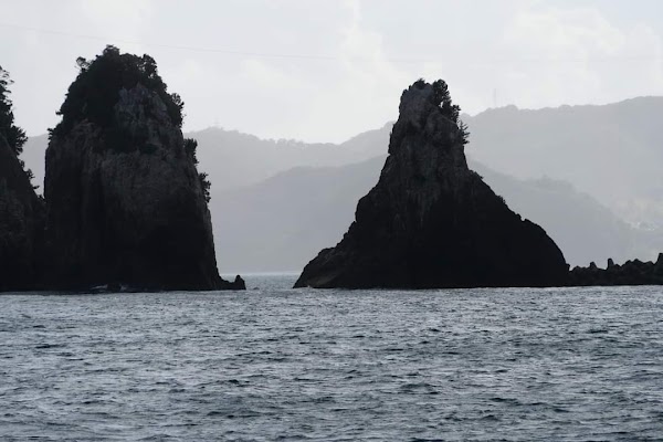 Kii-Katsuura Bay 1
