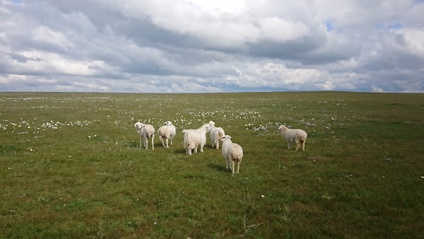 Hulunbuir