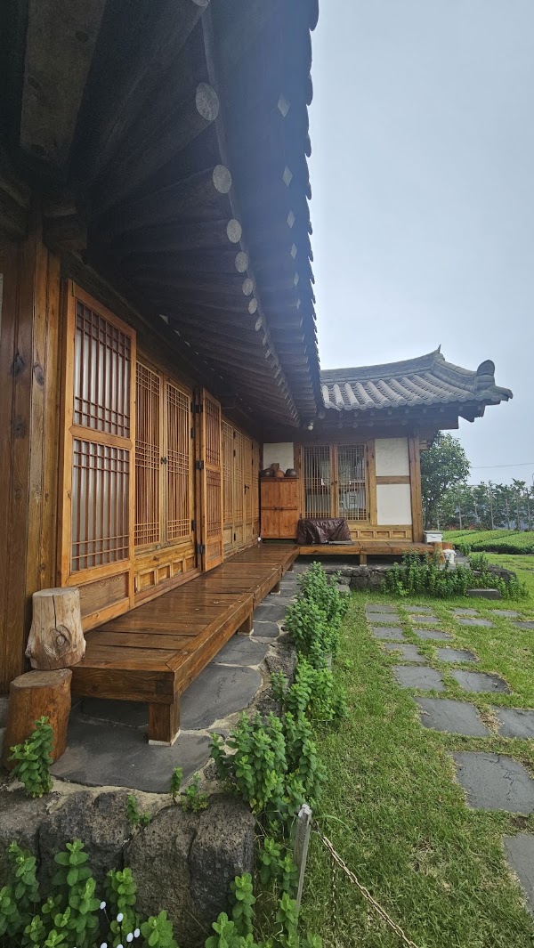 Aewol Matcha 2