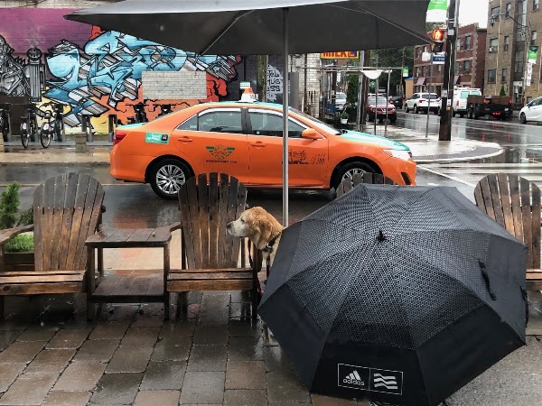 Broadview Espresso