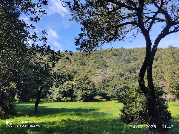 Chão dos Louros forest park