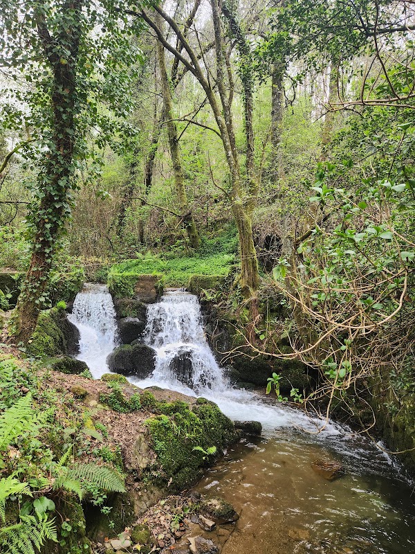 Passadiços de Vizela 3