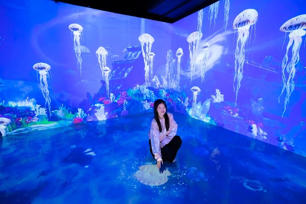 X Space Immersive 4