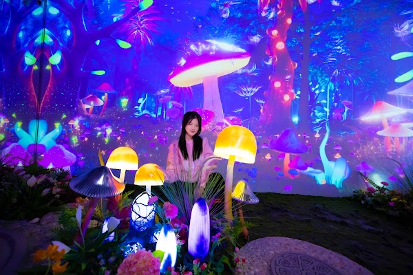 X Space Immersive 2