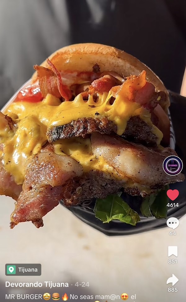 Mr. Burger