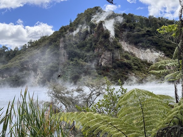 Waimangu Volcanic Valley 5