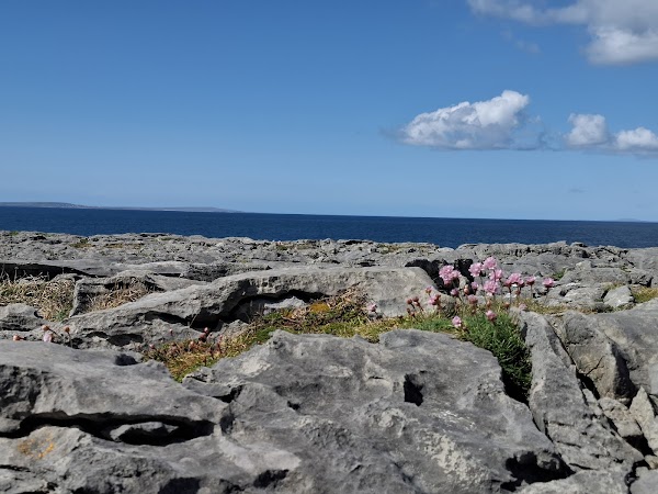 The Burren 4