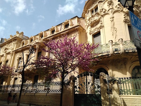 Chueca 5