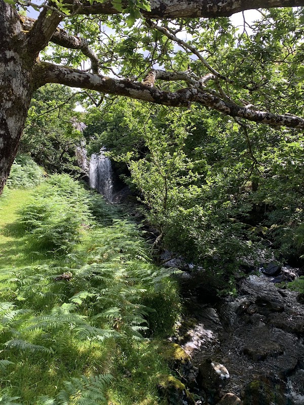 The Lost Valley 2