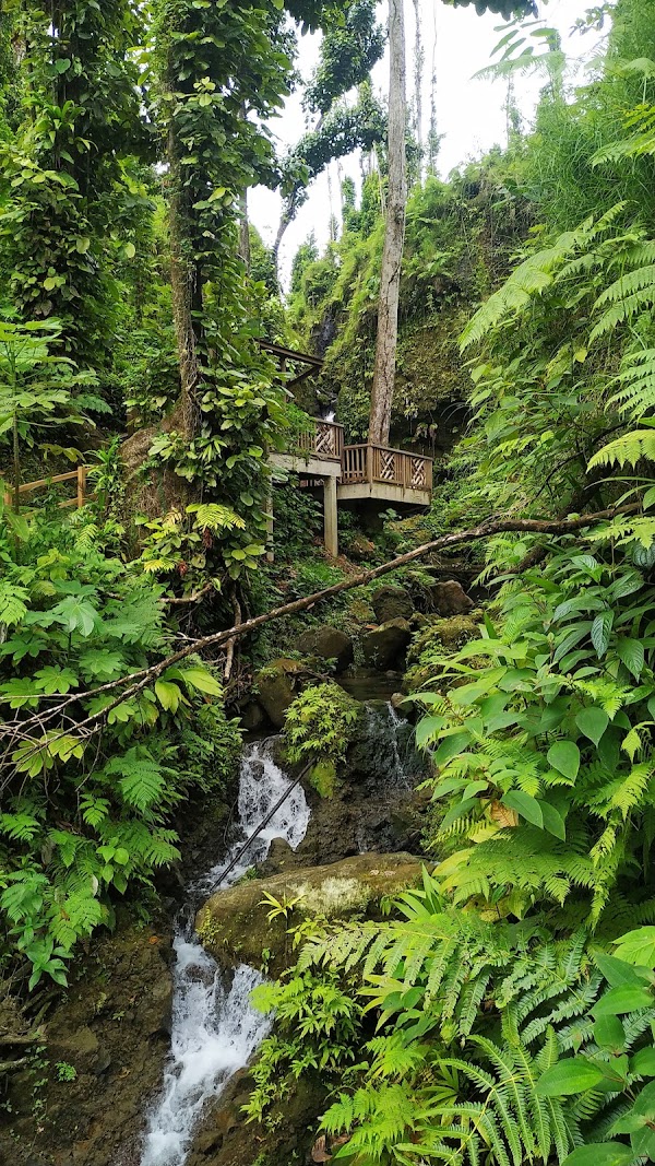 Emerald Pool 4