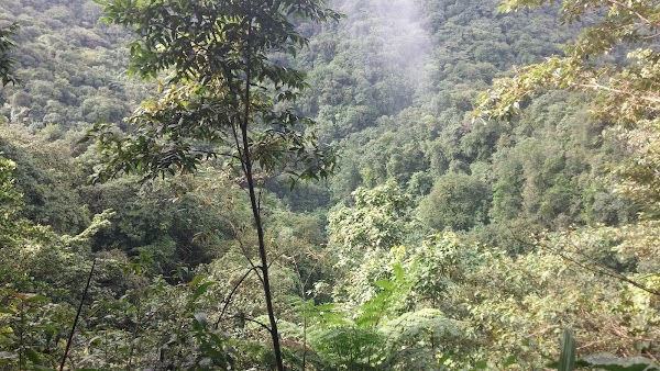 Emerald Pool 2