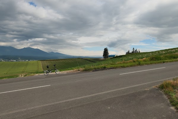 Panorama Road
