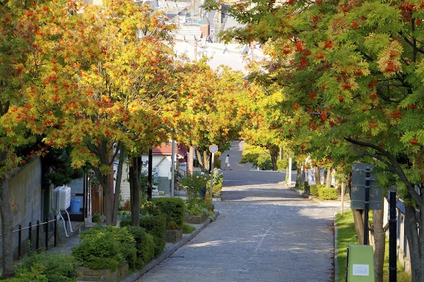 Hachiman Zaka Slope 3