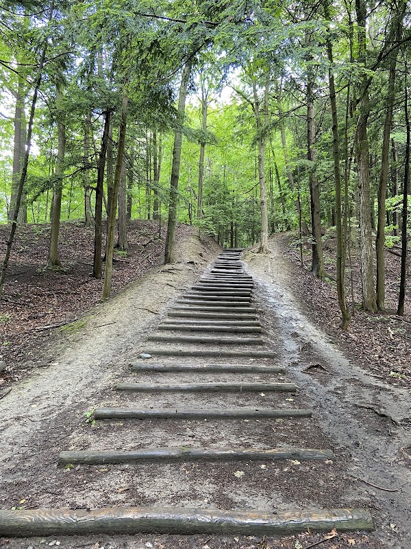 Mast Trail