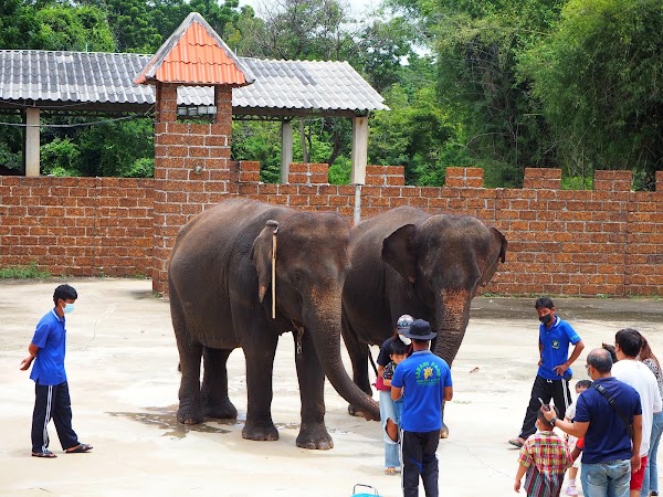 Safari Park Kanchanaburi 3