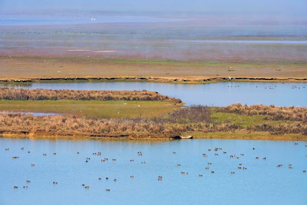 Poyang Lake 5
