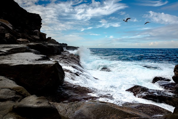 Little Head Headland 4