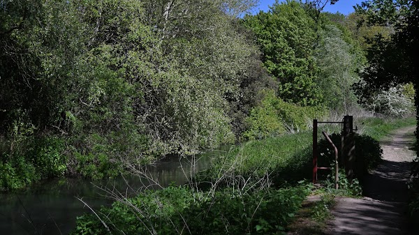Waterford Marsh