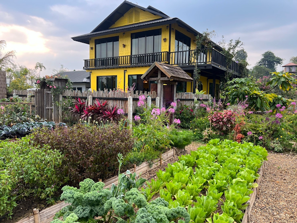 Hey Now Chiang Dao Stay