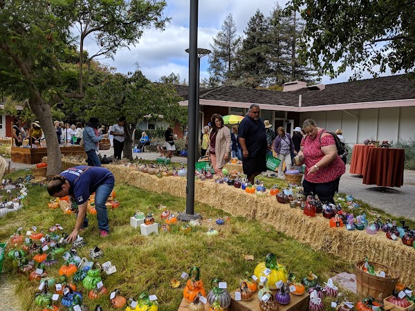 Palo Alto Art Center 2