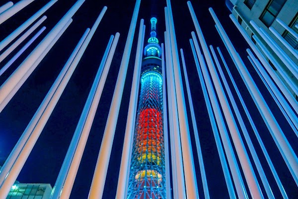 Japan 56