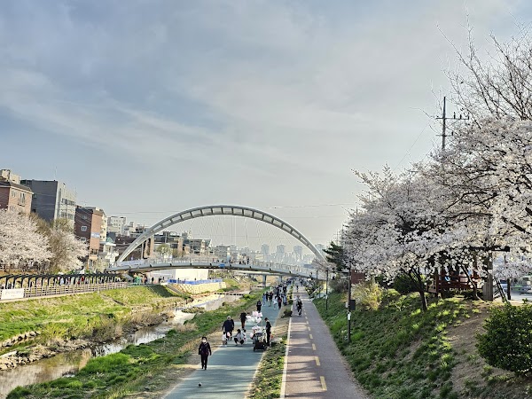 Bulgwangcheon Stream 3