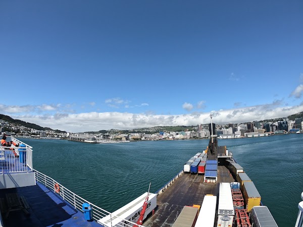 Wellington Harbour 4