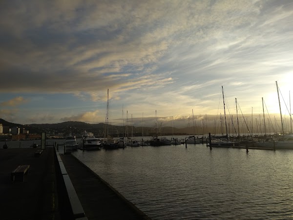 Wellington Harbour 3