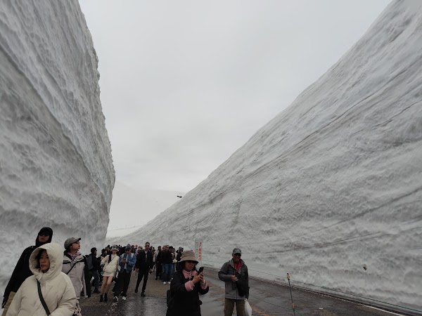雪の大谷 1