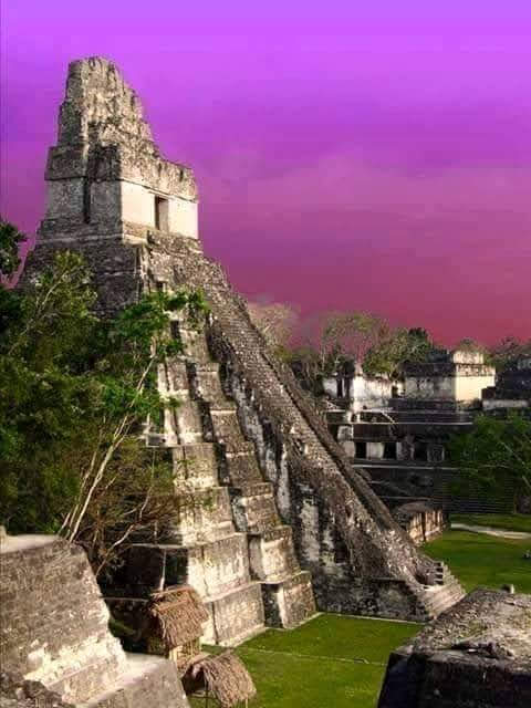 Tikal 4