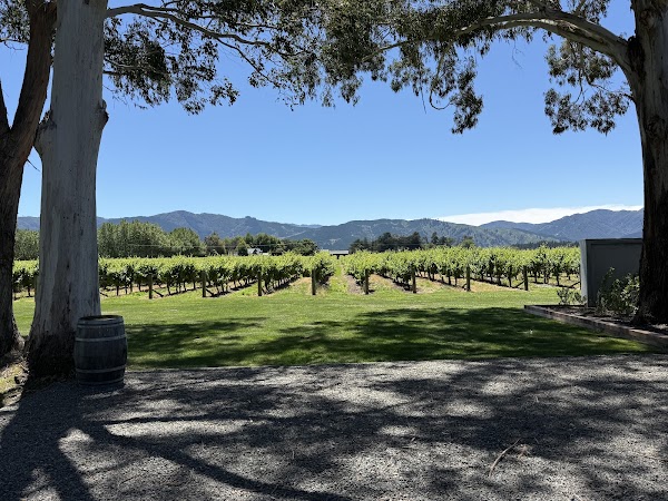Cloudy Bay Vineyards 4