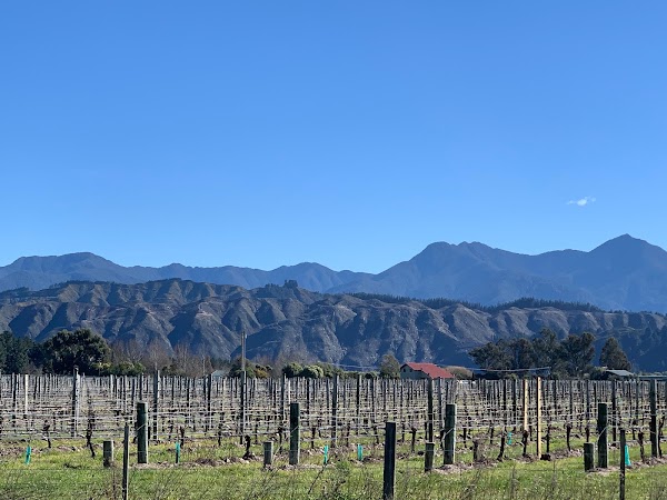 Cloudy Bay Vineyards 3