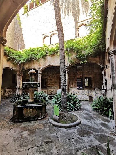 BCN 19