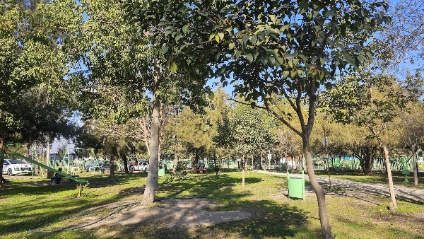 Parque Brasil 1