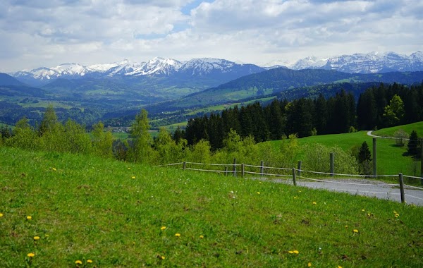 Scheidegg