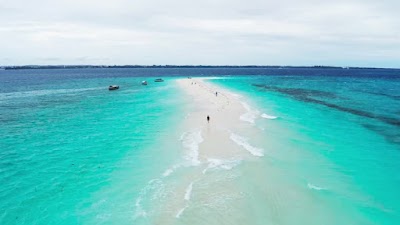 Nakupenda island sandbank tours