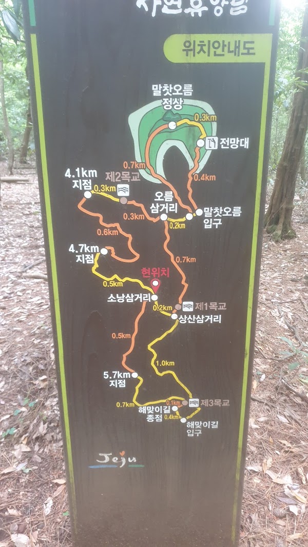 Jeju 90