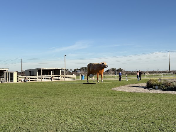 Caldermeade Farm & Cafe 3