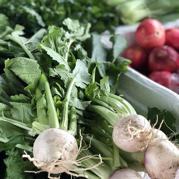 Kyilla Community Farmers' Market 2