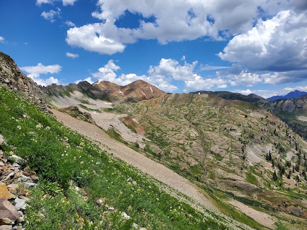 Daisy Pass 3