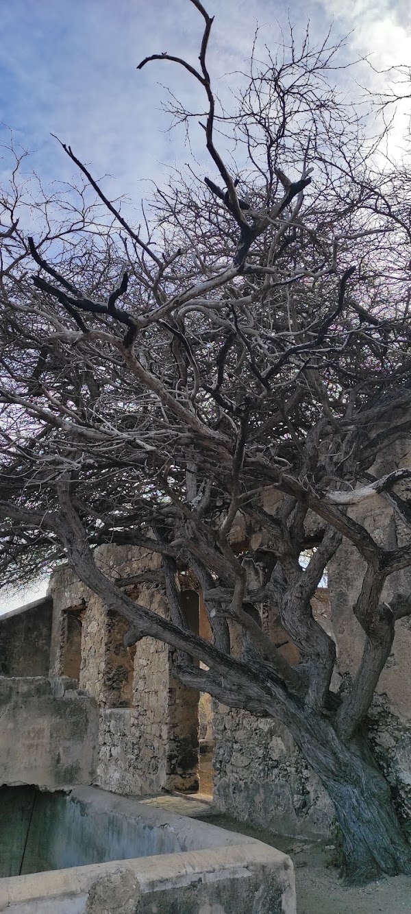 Aruba 3