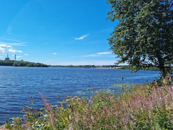 Pikisaari, Oulu 5