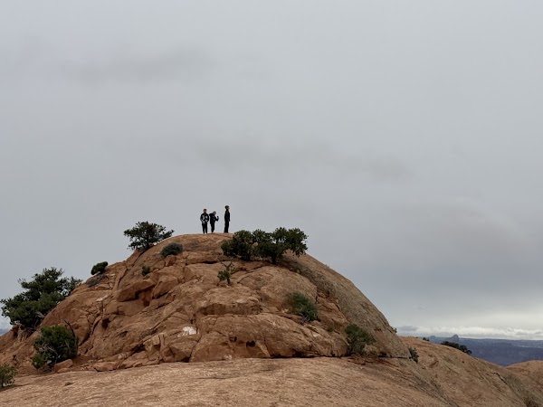 Whale Rock Trail