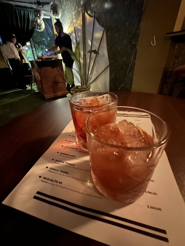 Bardo Speakeasy 4