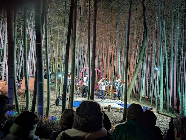 ちたの竹林 3